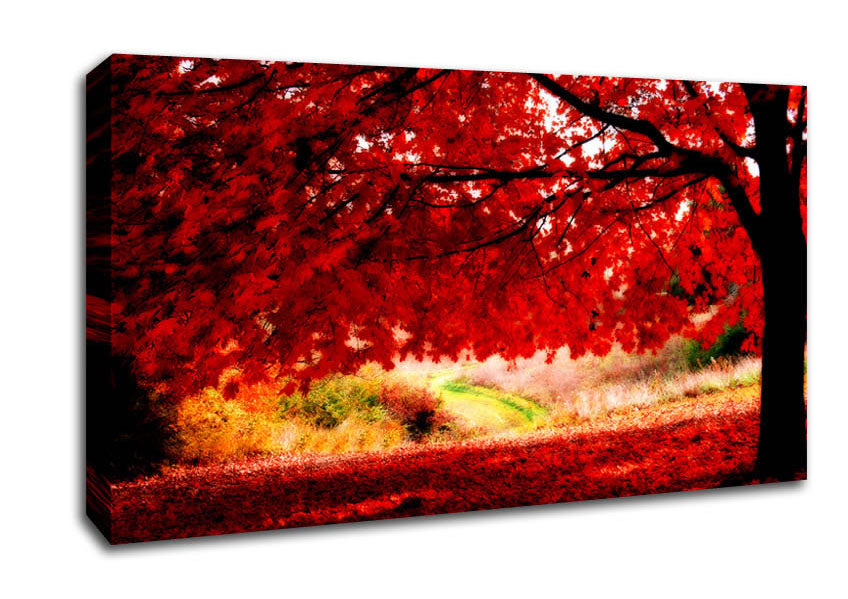 Red Autumn Tree Canvas Wall Art