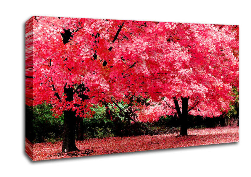 Pink Tree Heaven Canvas Wall Art