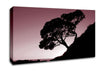 Mauve Tree Canvas Wall Art
