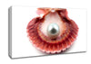 Pearl Canvas Wall Art