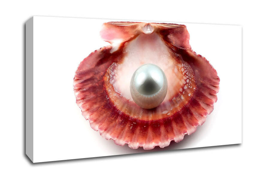 Pearl Canvas Wall Art