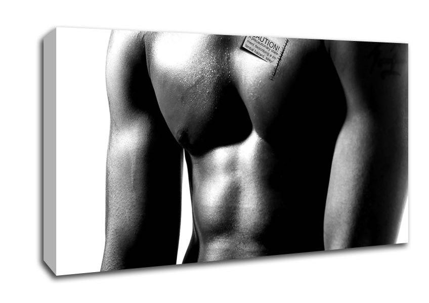 Male Body Canvas Wall Art