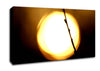Light Canvas Wall Art