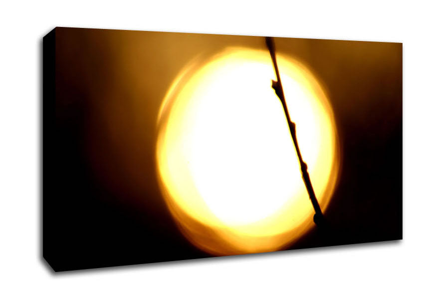 Light Canvas Wall Art