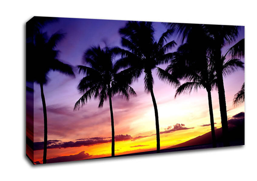 Palm Trees Sunset Canvas Wall Art