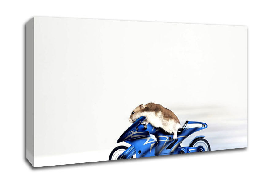 Mouse Riding Motorcycle Canvas Wall Art