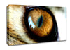 Mordor Eye Canvas Wall Art