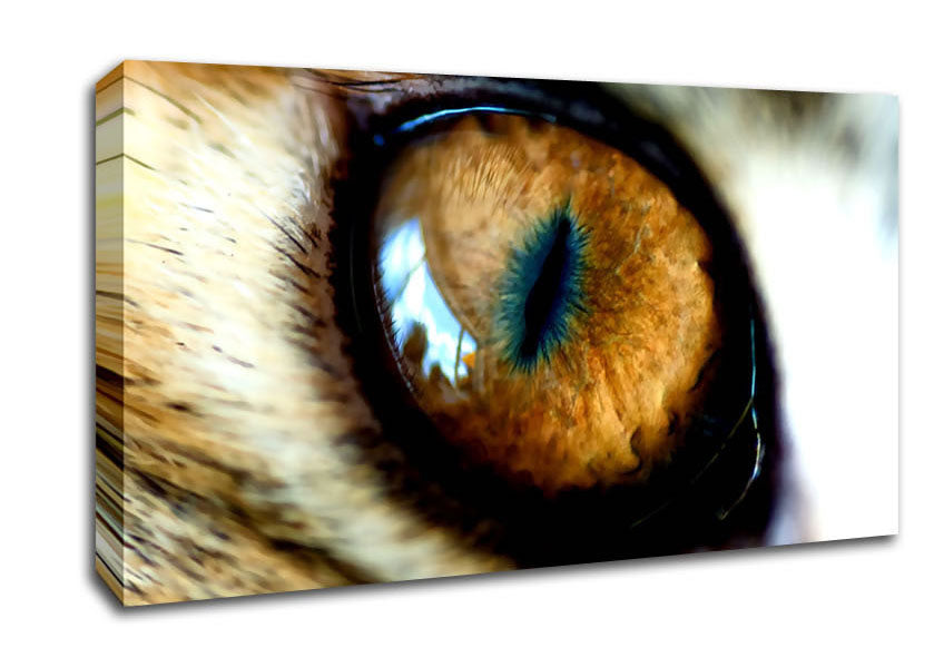 Mordor Eye Canvas Wall Art