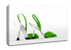 Lime Shoes Canvas Wall Art
