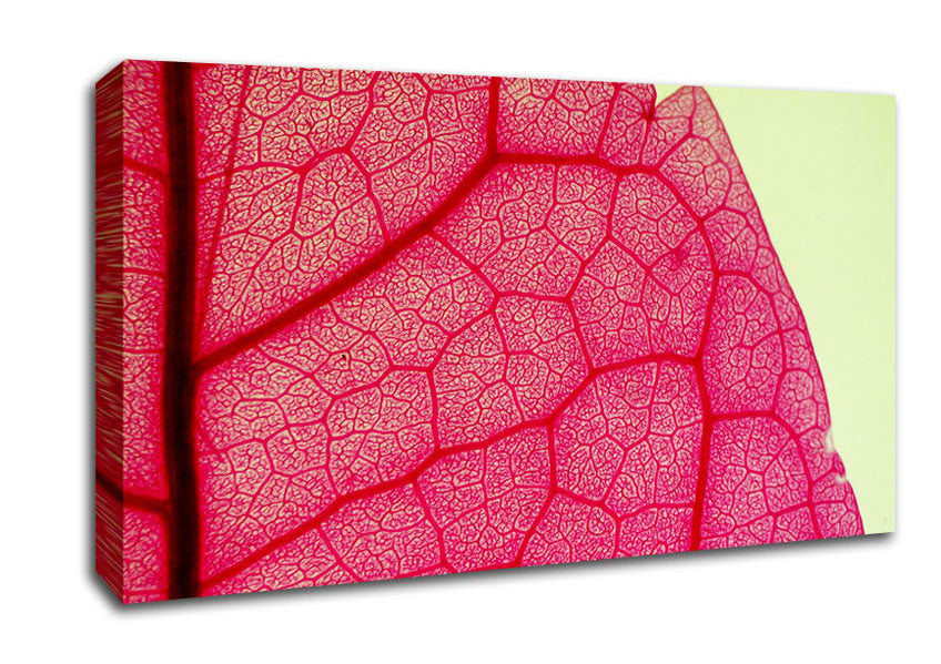 Pink Leave Beauty Canvas Wall Art
