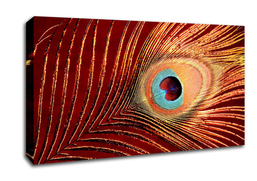 Peacock Feather 06 Canvas Wall Art
