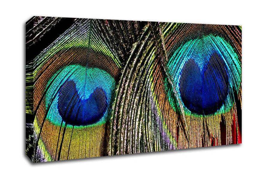 Peacock Feather Duo Canvas Wall Art