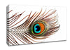 Peacock Feather Canvas Wall Art