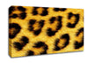 Leopard Print Canvas Wall Art