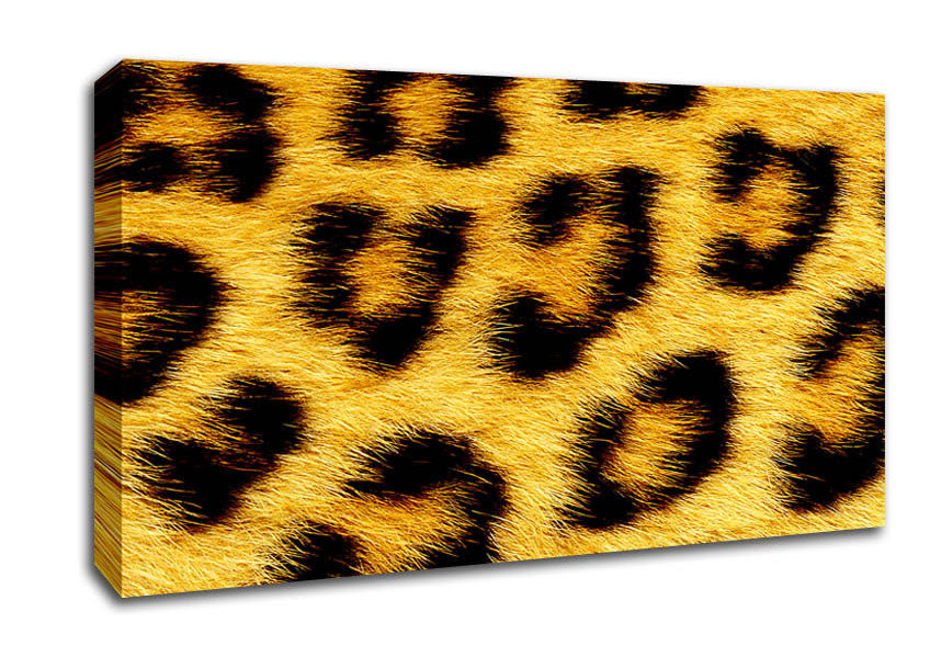 Leopard Print Canvas Wall Art