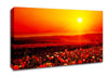 Poppy Field Mist Canvas Wall Art