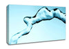 Liquid Celebration Canvas Wall Art