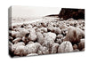 Pebbles Of The Ocean Brown Canvas Wall Art