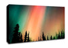 Northern Light Nights Canvas Wall Art