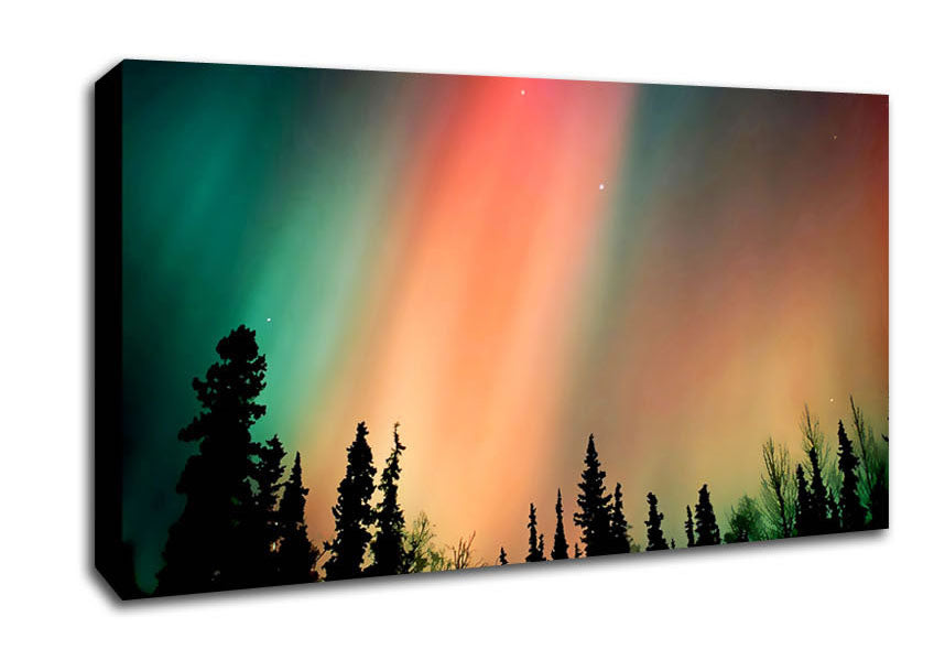 Northern Light Nights Canvas Wall Art