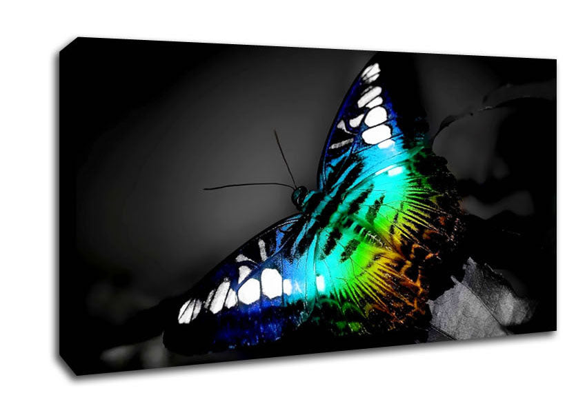 Psychedelic Butterfly 2 Canvas Wall Art