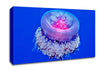 Neon Jellyfish Canvas Wall Art
