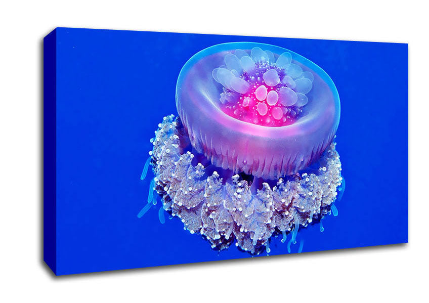Neon Jellyfish Canvas Wall Art