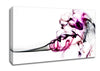 Pink Smoke Fury Canvas Wall Art