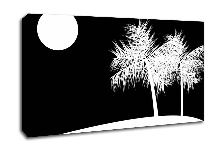 Palm Tree Moon White On Black Canvas Wall Art