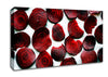 Red Beetroot Slices Canvas Wall Art