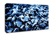 Nothing But Pebbles Canvas Wall Art