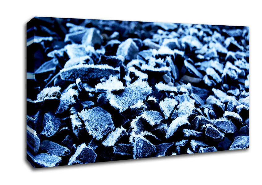 Nothing But Pebbles Canvas Wall Art