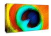 Peacock Feather Eye Close-Up Canvas Wall Art