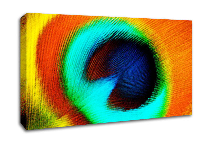 Peacock Feather Eye Close-Up Canvas Wall Art