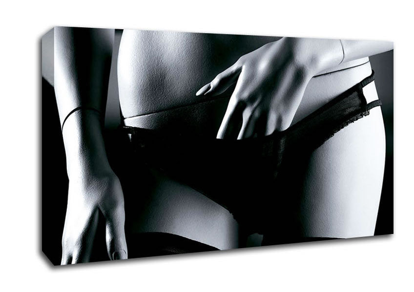 Plastic Beauty Canvas Wall Art