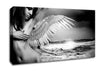 Ocean Angel Canvas Wall Art