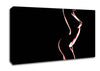 Red Body Canvas Wall Art