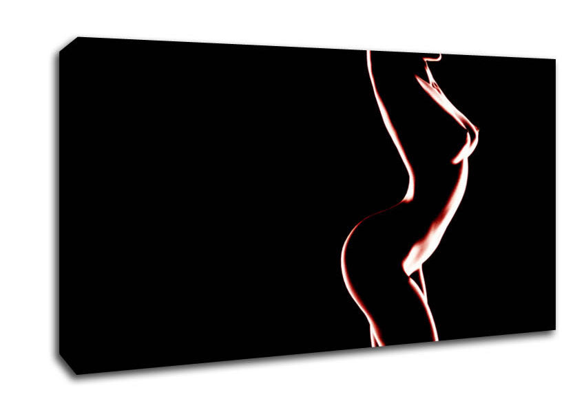 Red Body Canvas Wall Art