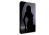 Midnight Woman Canvas Wall Art