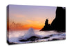 Ocean Spray Delight Canvas Wall Art