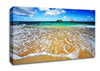Ocean Paradise Canvas Wall Art