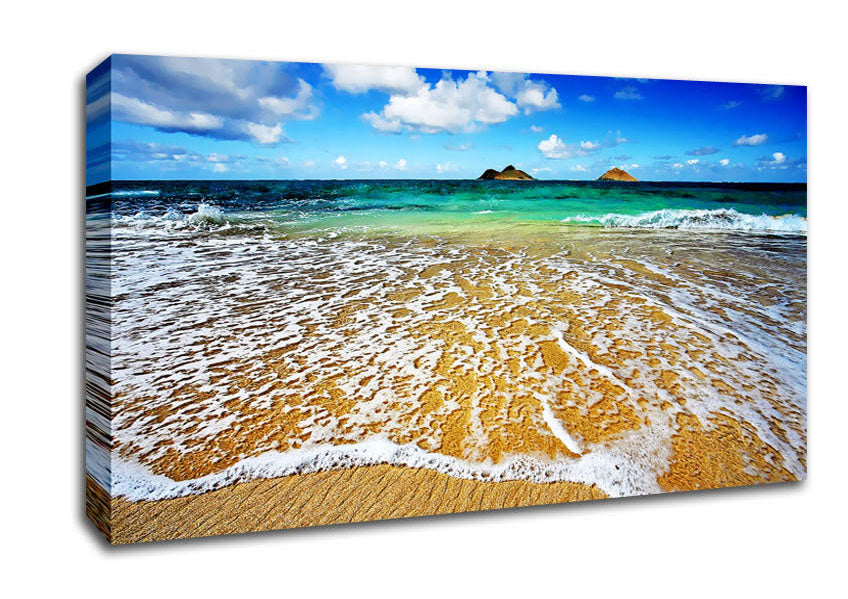 Ocean Paradise Canvas Wall Art