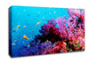 Magical Coral Ocean Canvas Wall Art