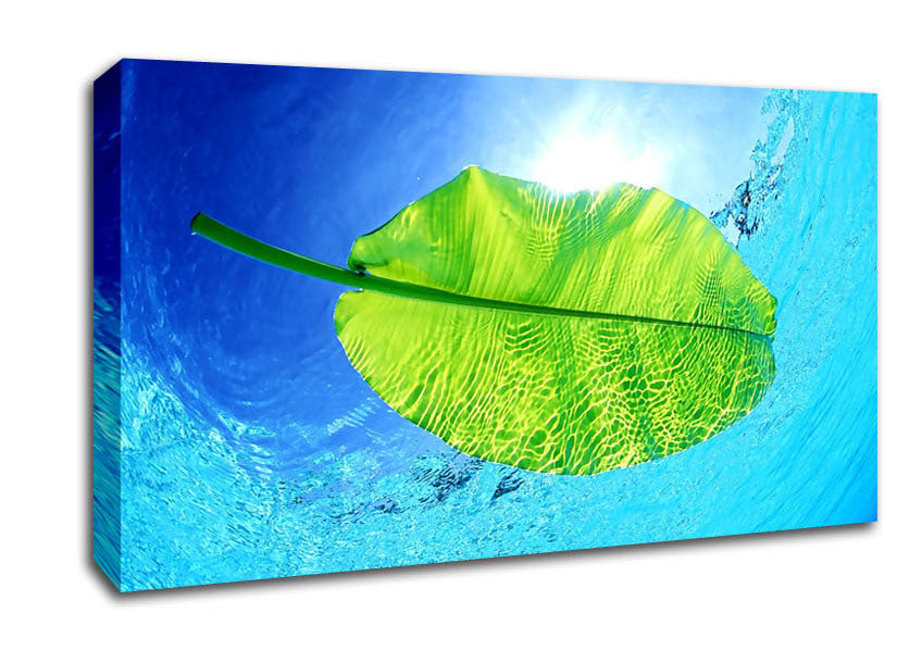 Blue Waters Of A Green Leaf Canvas Wall Art