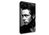 James Dean Classic B n W Canvas Wall Art