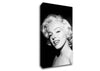 Marilyn Monroe Beautiful Face Canvas Wall Art