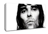 Ian Brown B n W Canvas Wall Art