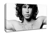 Jim Morrison Music Canvas Wall Art