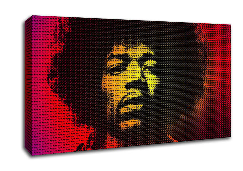 Jimi Hendrix Face Canvas Wall Art