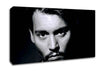 Johnny Depp Face Canvas Wall Art